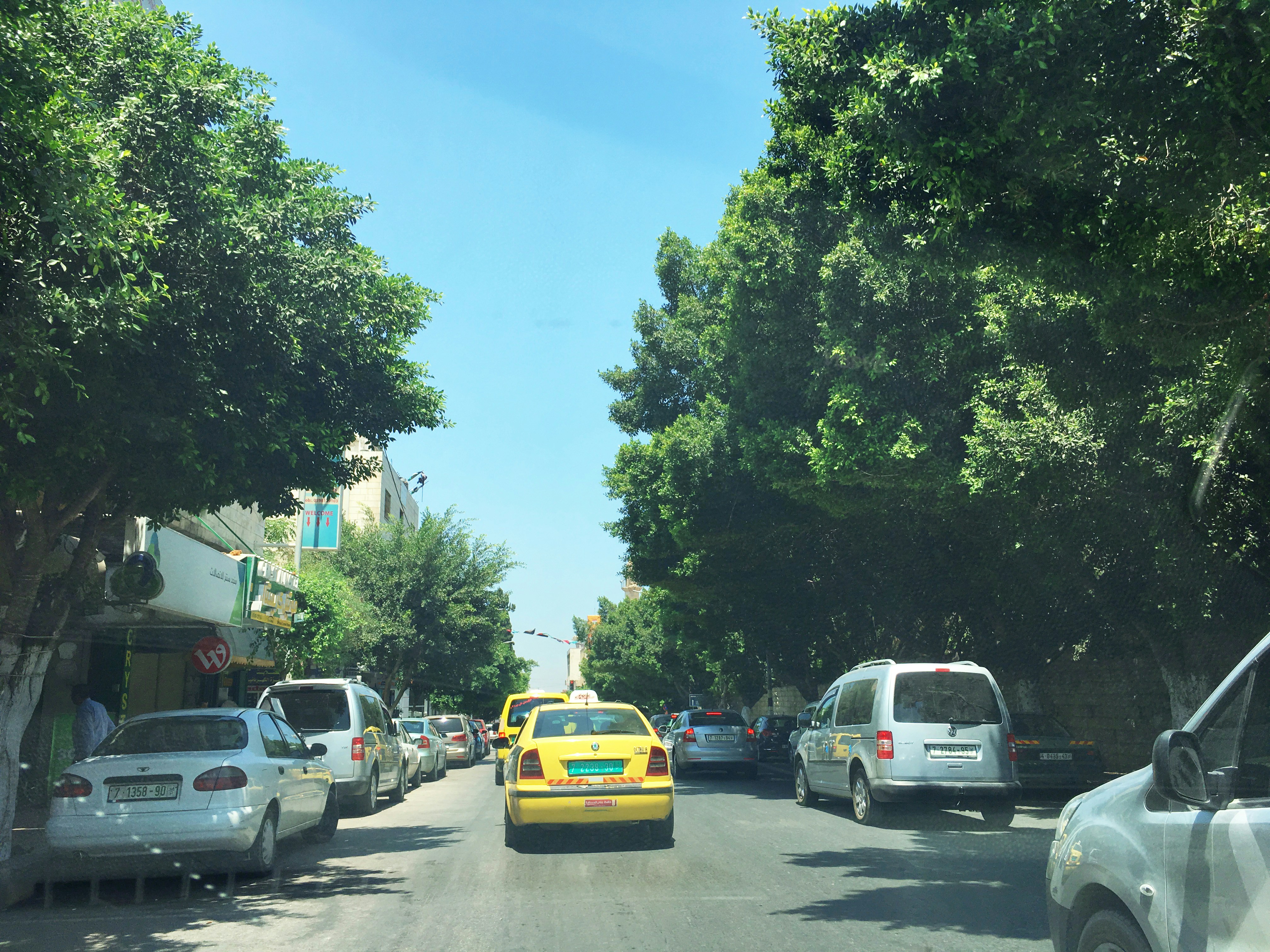 دروس تعليم القيادة العملية